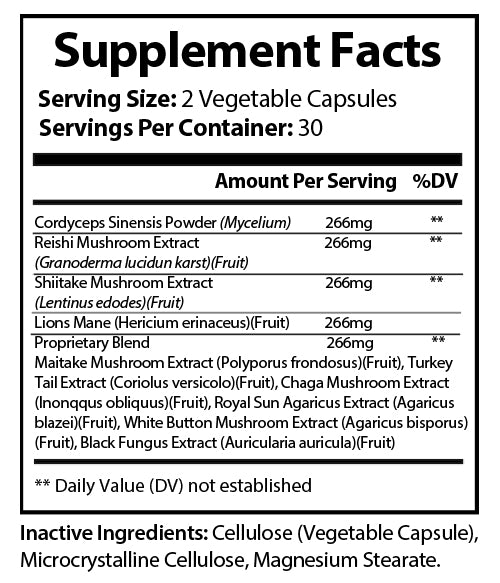 Mushroom Immune Booster Chaga, Cordyceps, Reishi and Lion’s Mane.
